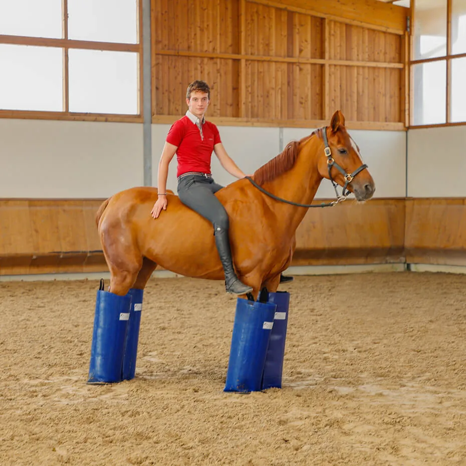 Cavallo in maneggio con gli stivali Curaboots blu sugli arti