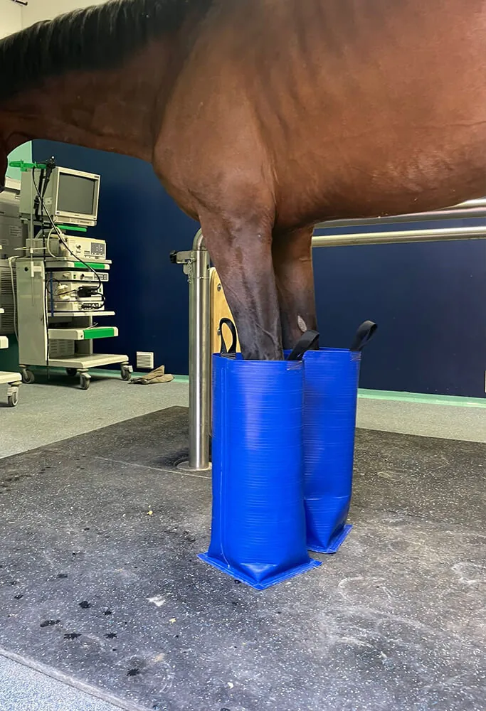 Curaboots alla clinica di Medicina Veterinaria dell'Università di Perugia