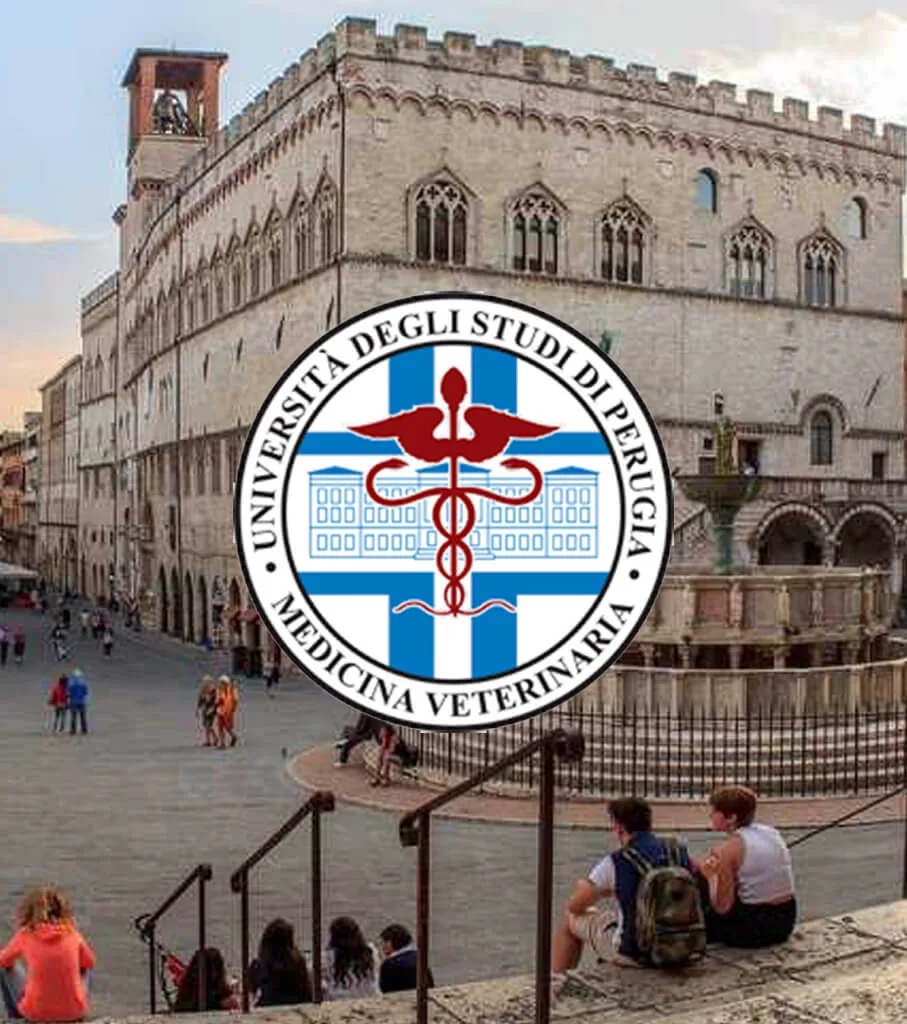 Medicina Veterinaria dell'Università di Perugia MEDVET - UNIPG